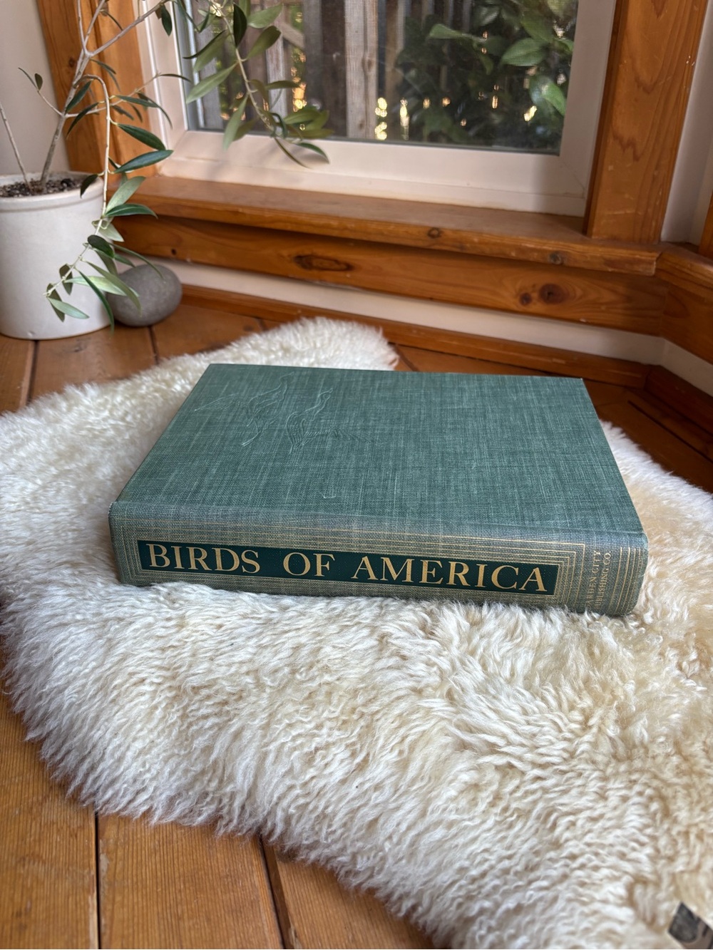 Antique Birds of America Book